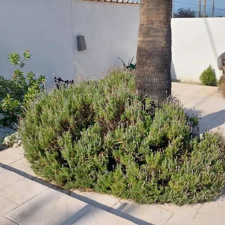 Mi Pequeno Gran Hogar Holiday home